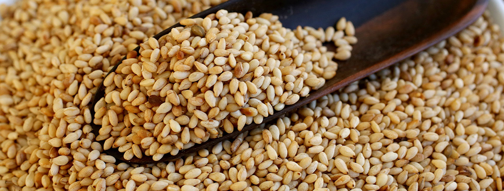 Sesame Seeds Burmanawa Farm